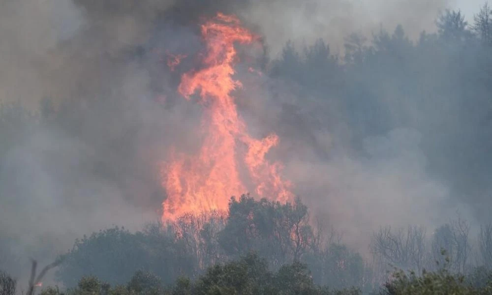 Ασπρόπυργος: Νέα φωτιά ξέσπασε στη Νέα Ζωή - Διακοπή δρομολογίων στον Προαστιακό